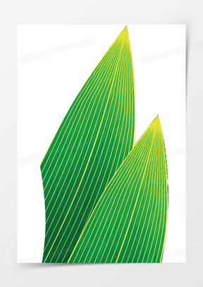 手绘叶图片素材