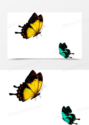 春季黄绿色飞翔蝴蝶