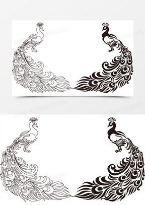 孔雀矢量图片素材