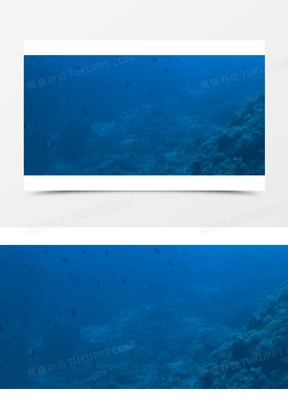 海藻植物303卡通手绘海底世界珊瑚植物161手绘卡通海底植物矢量图170