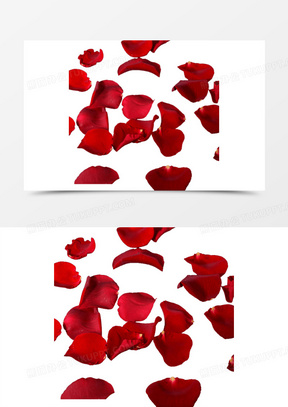 飘落的玫瑰花瓣素材20红色玫瑰花瓣飘落00飘落的玫瑰花瓣20飞舞飘落的