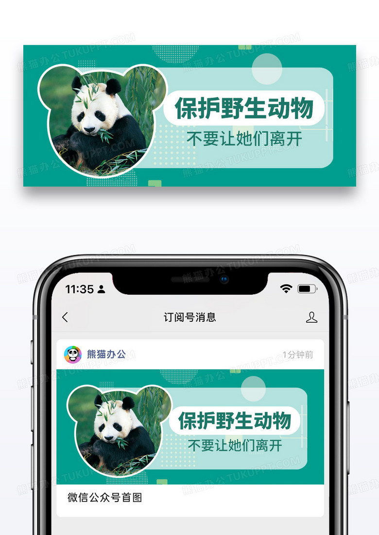 简约保护野生动物熊猫公众号首图