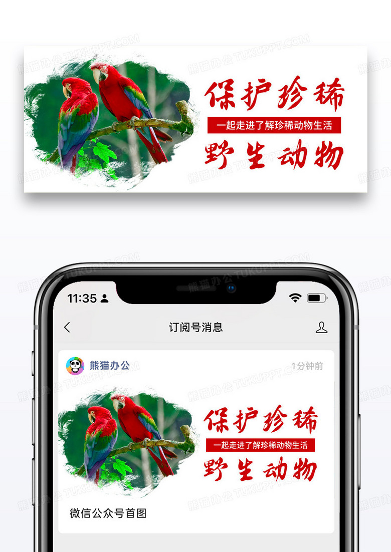 简约保护珍稀野生动物小鸟公众号首图