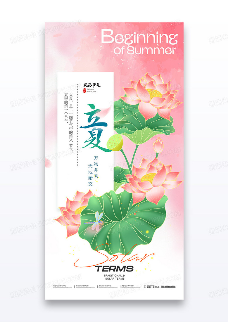 立夏二十四节气荷花插画简约海报