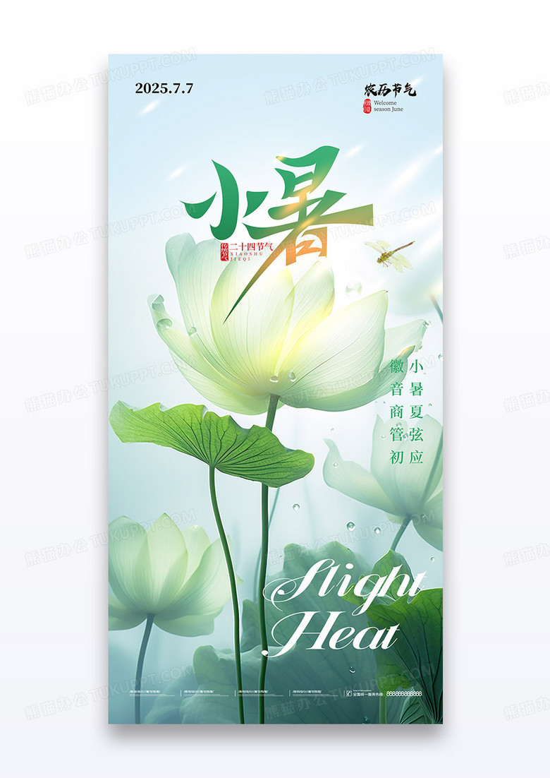 绿色透明荷叶蜻蜓二十四节气小暑海报