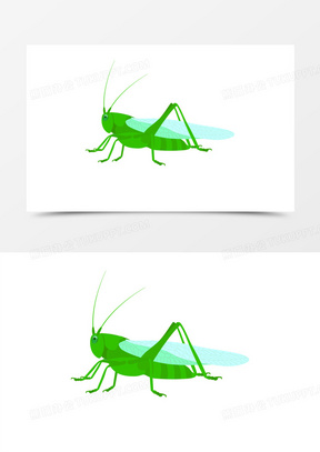 小昆虫图片素材