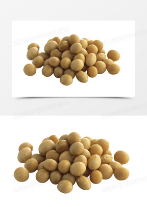 大豆图片素材