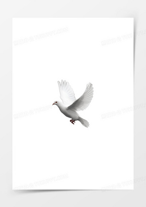 00各种人物姿势翅膀20运动服banner模板跑步姿势10大眼可爱猫咪姿势