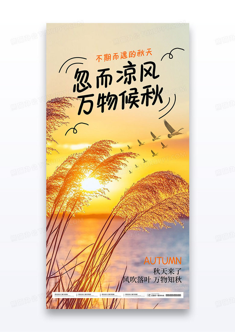 秋季秋天你好芦苇大雁海报