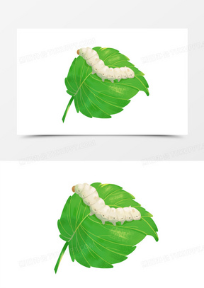 卡通手绘桑叶上的熟蚕成年蚕宝宝免抠素材