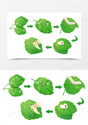 卡通手绘蚕宝宝进化合集免抠素材