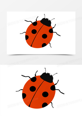 七星瓢虫图片素材