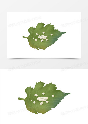 手绘卡通白色蚕卵元素