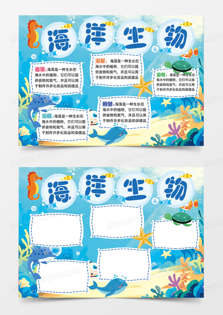 海洋生物可爱动物鲸鱼海豚手抄报