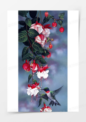 蓝天绿叶红花图片唯美高清