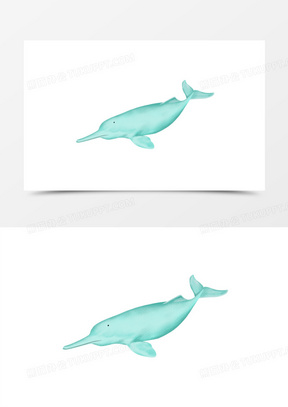 保护动物图片素材