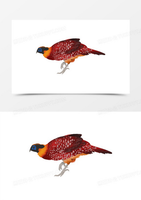 国家保护动物白颈长尾雉元素10卡通手绘珍稀动物白鹮元素453红色扁平