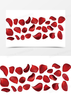 玫瑰花瓣素材_玫瑰花瓣图片_玫瑰花瓣素材图片下载_熊猫办公