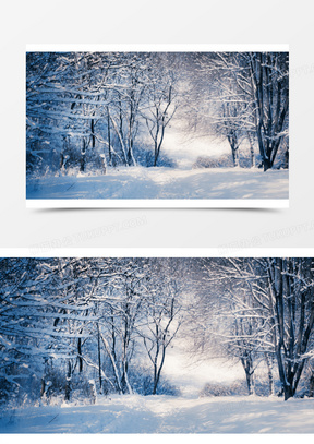 高清摄影森林冬天的海报合成
