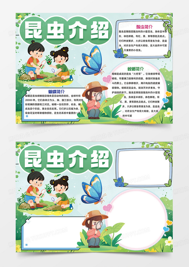 昆虫介绍简约设计创新可爱手抄报