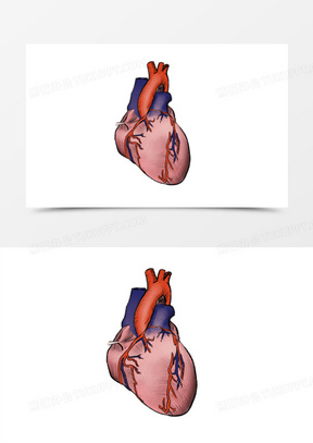心脏卡通图片素材