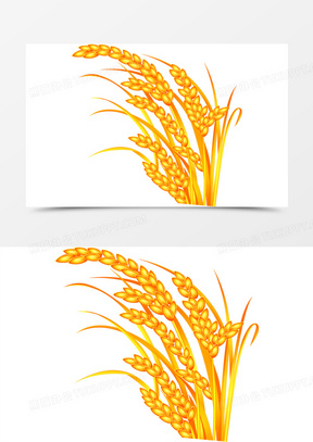 创意合成黄色的手绘稻穗