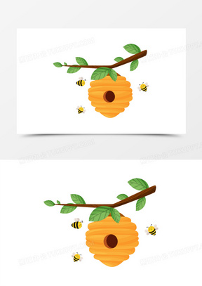 野生马蜂窝图片大全高清