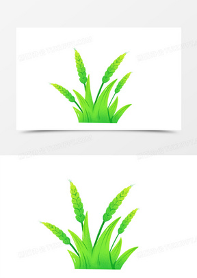 卡通手绘绿色未成熟的麦穗免抠元素