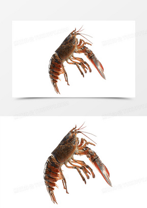 288x407