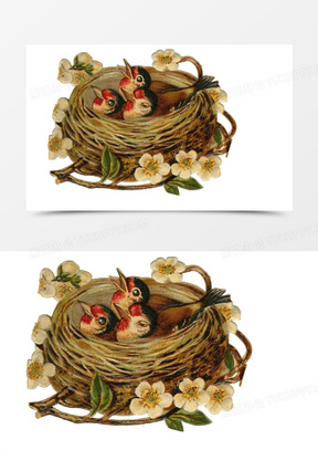 燕子卡通图片素材