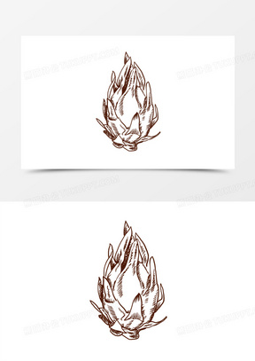 手绘线描水果火龙果免抠装饰元素