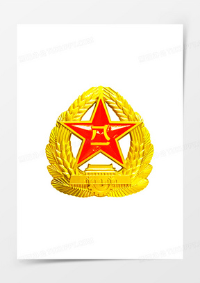 黄色麦穗党徽国防