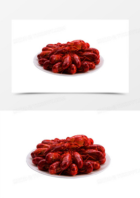 288x407