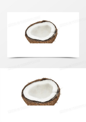 椰子图片素材