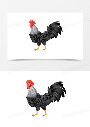 一只灰色的鸡20成人 巴厘 男人00公鸡剪纸70剪纸00卡通眼睛集合元素