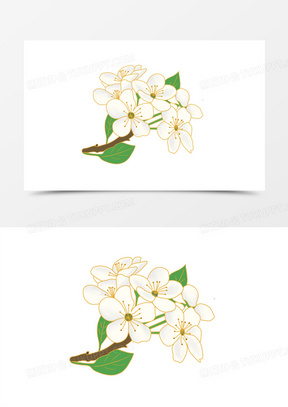 手绘梨花图片素材