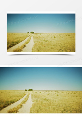 黄色土路精美壁纸