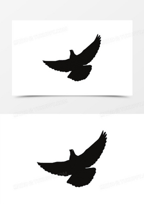 鸽子剪影图片素材