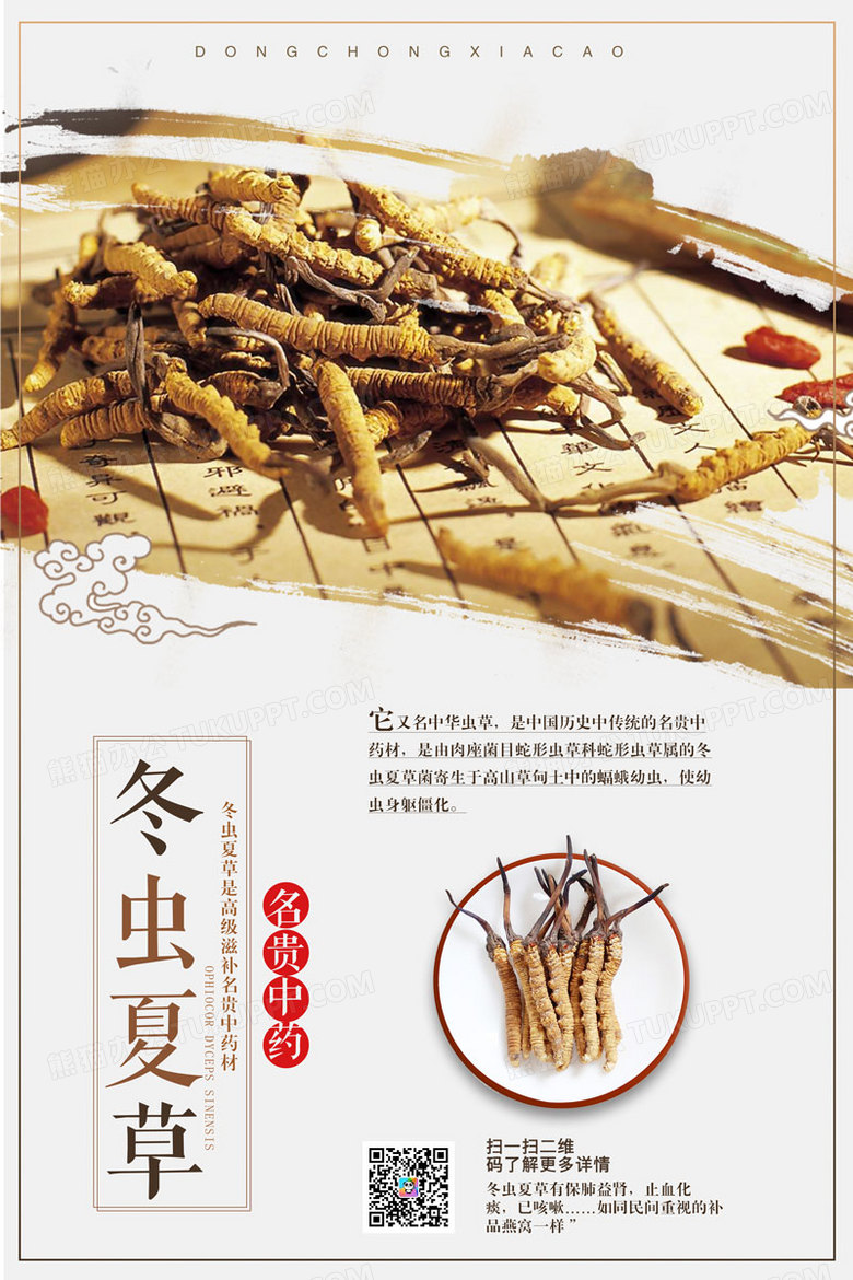 中药冬虫夏草促销海报设计
