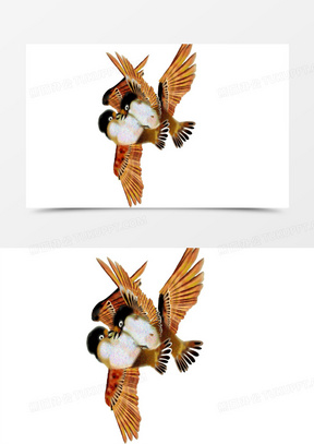 比翼双飞图片大全大图唯美