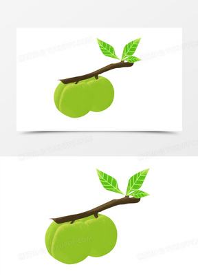 新鲜青梅图片高清