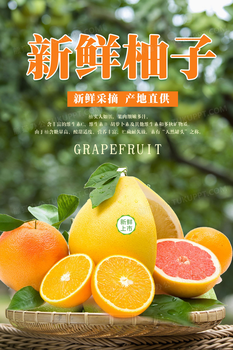 新鲜写实风格新鲜柚子柚子水果海报柚子海报柚子展板海报