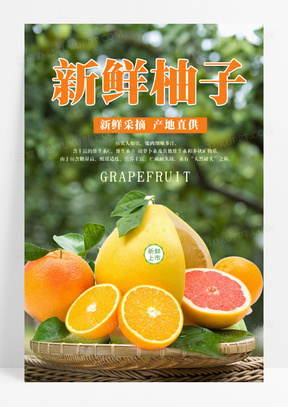 新鲜写实风格新鲜柚子柚子水果海报柚子海报柚子展板海报