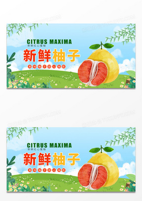 简约新鲜柚子展板模板水果柚子背景图柚子展板海报