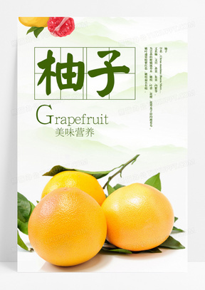 柚子海报水果餐饮美食海报设计