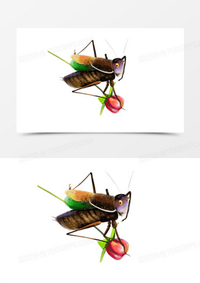 手绘原创可爱蝈蝈吃果子免抠素材