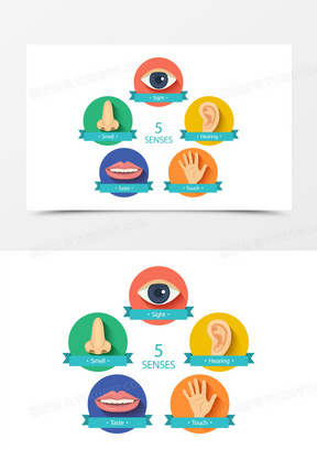 创意五种感观图标矢量素材