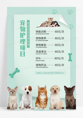 简约宠物护理项目宣传活动价目表海报宠物店价格表