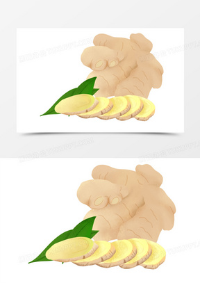 手绘生姜免抠元素