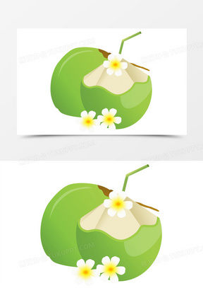 手绘椰子图片素材